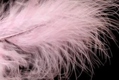 MarabouA.Jensen -FloraSelf winkel 670fa5c0f4181aea98695559a70e06baa2e58cf7