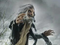 Halloween Witch, Nahema, 160cm -FloraSelf winkel 83316105e