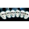 Set Van 6 Schedels Doodshoofden