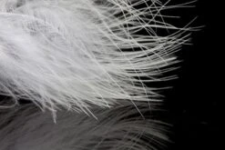 MarabouA.Jensen -FloraSelf winkel c8446c77eb306df92bbc273ad7f00ff3eea1a92e