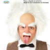Einstein Pruik Met Kaal Voorhoofd