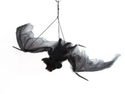 Bat With Ca 120 Cm Wing-spread