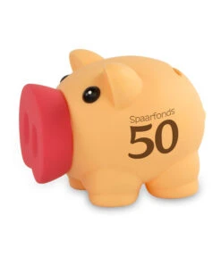 Spaarvarkentje 50 Jaar Verjaardag