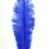 Struisvogelveer Blauw Ca. 30cm