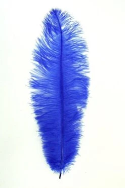 Struisvogelveer Blauw Ca. 30cm