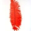 Struisvogelveren 50-60cm Rood