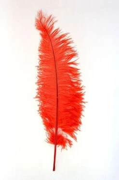 Struisvogelveren 50-60cm Rood